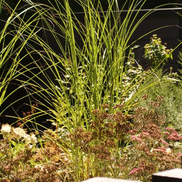 L’aménagement paysager