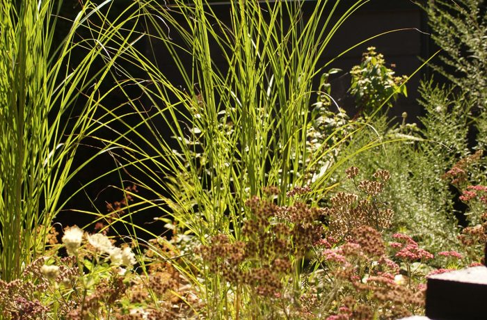 L’aménagement paysager